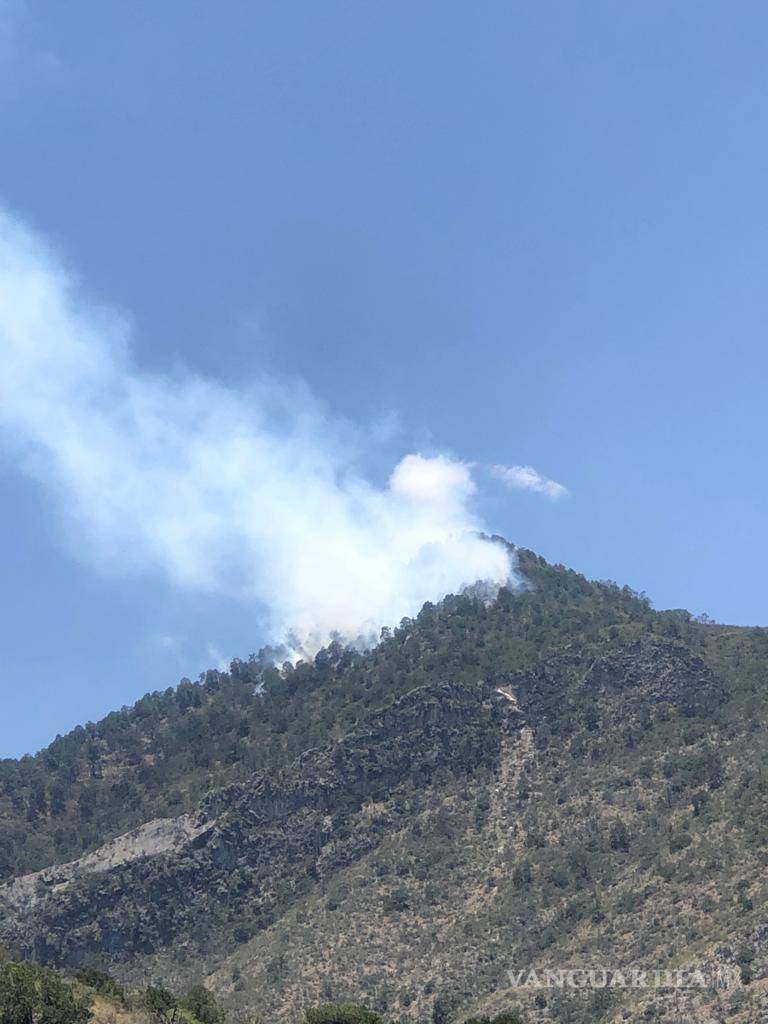 $!Autoridades expresaron que las brigadas de combate comenzarán este jueves a las 6:00 de la mañana.