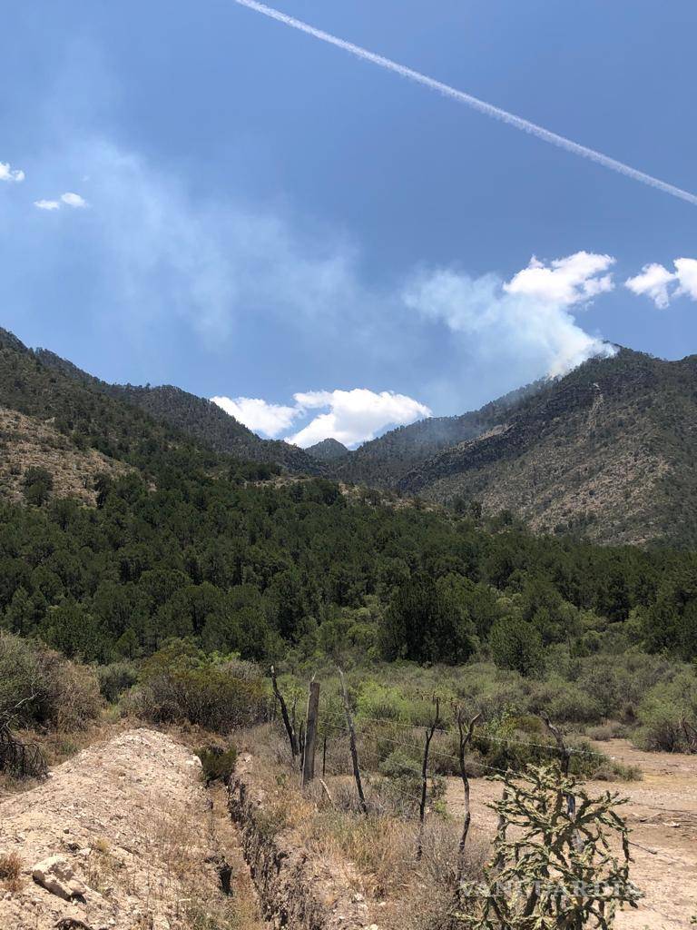 $!De acuerdo con las autoridades de Protección Civil y Bomberos en el incendio de mayo la superficie afectada fue de 10 hectáreas.