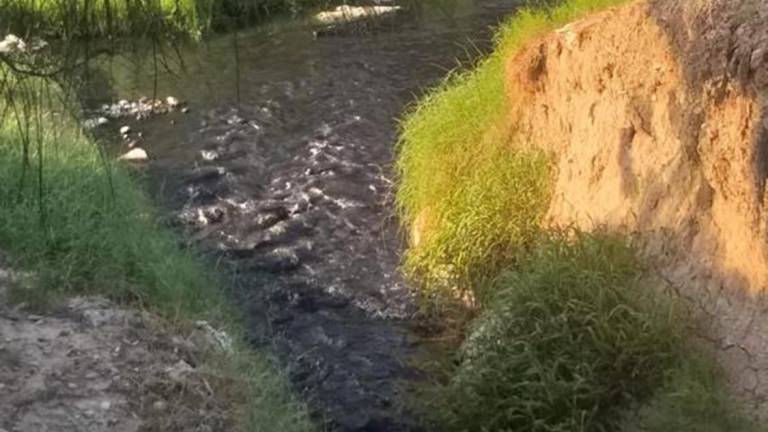 $!Descarga de aguas negras al arroyo Aguililla, que desemboca en el Río Sabinas.