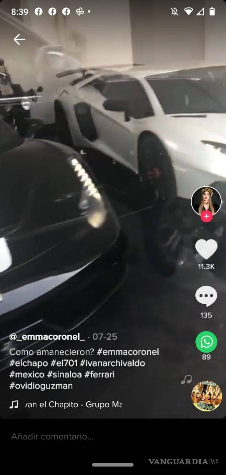 $!Emma Coronel exhibe en Tik Tok lujos y abundancia que le dejó "El Chapo" Guzmán