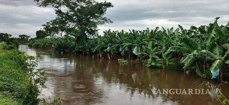 $!Agricultores de Chiapas exigen declarar desastre por lluvias