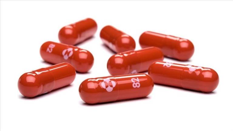 EU autoriza uso doméstico de la píldora de Pfizer contra COVID-19