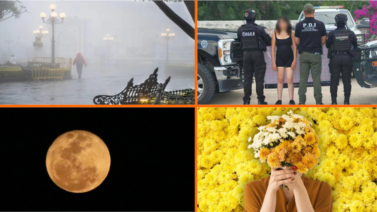 Las noticias más importantes del 21 de septiembre de 2026 en México