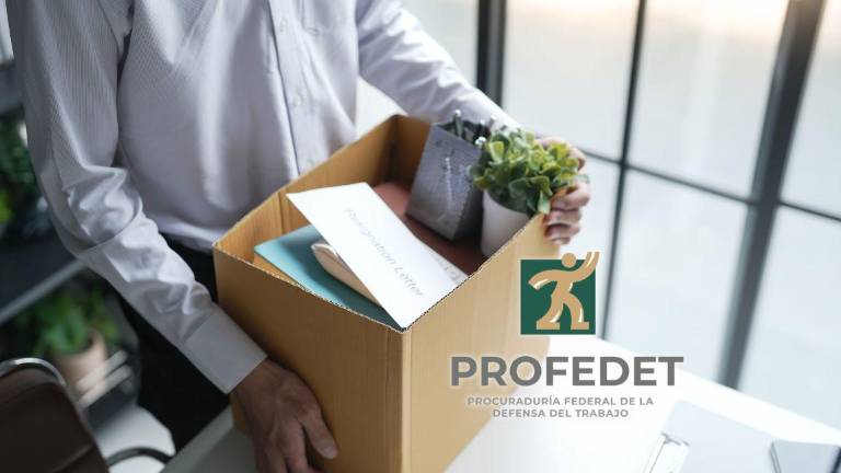 La legislación laboral establece aviso por escrito, finiquito o indemnización según el caso; trabajadores pueden recibir asesoría gratuita para defender sus derechos.