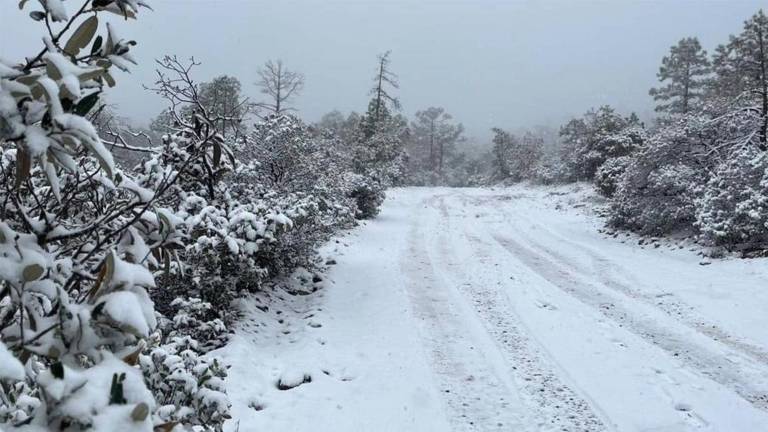 Se mantendrá la probabilidad para la caída de nieve o aguanieve en las sierras de Sonora, Chihuahua, Sinaloa (norte) y Durango.