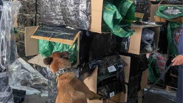 Personal de la Marina y de Aduanas aseguraron 2 millones 400 mil cigarros presuntamente apócrifos en el AICM, en un embarque procedente de China, el cual fue declarado documentalmente como palillos perfumados.