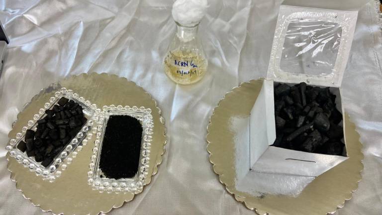 $!El biocarbón es uno de los proyectos del laboratorio donde se estudia el potencial para retener arsénico.