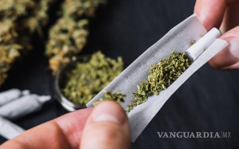 $!Considera demostrado que los adolescentes y los adultos jóvenes consumen mucho más cannabis en los Estados que han legalizado su venta