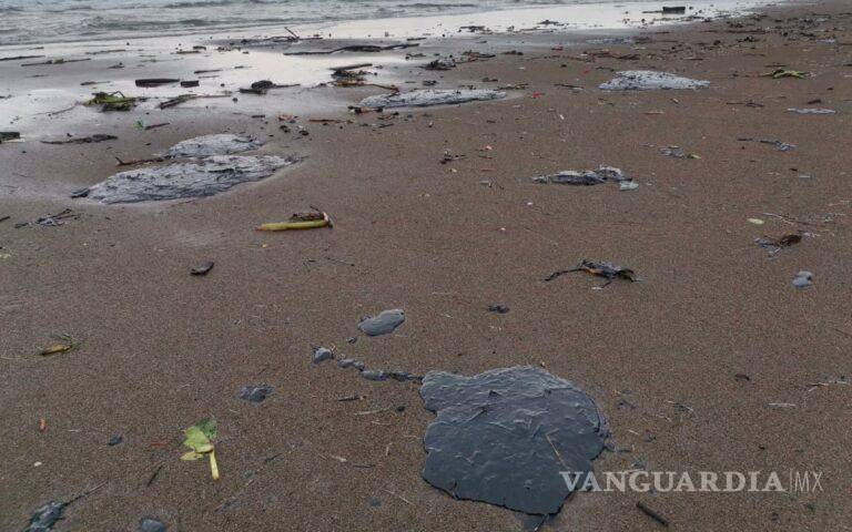 $!Aparece chapopote en playas de Veracruz, reportan muerte de animales