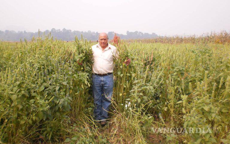 Asesinan a ambientalista en el Edomex, es el segundo en apenas unos días