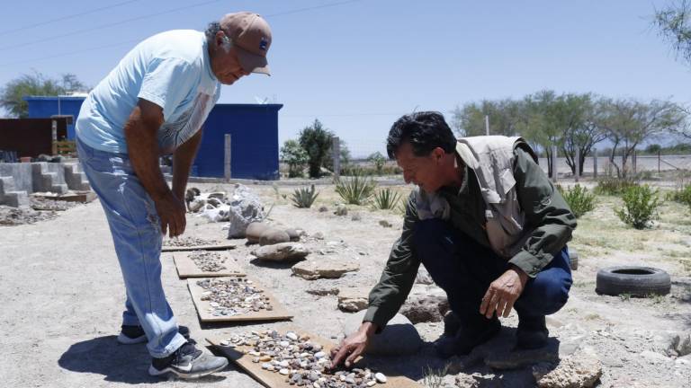 $!El aficionado Carmino García y el paleoescultor Ignacio Vallejo examinan los hallazgos en el solar de la casa de Carmino: amonites fosilizados, caracoles y rocas extrañas ha recolectado en muchos años.