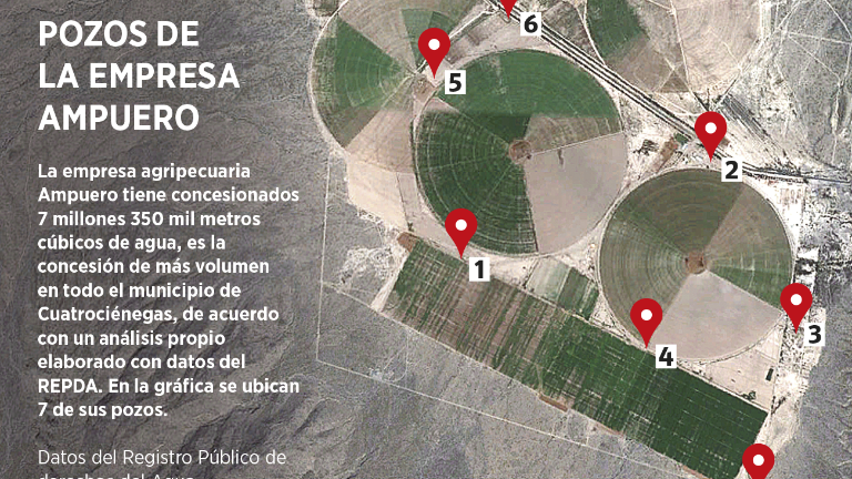 $!Crisis por el agua no da tregua: a Cuatrociénegas lo seca el cultivo de alfalfa