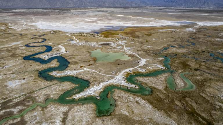$!Para la Fundación Pro Cuatrociénegas, el regreso del bisonte representa también una oportunidad de apostarle al ecoturismo.