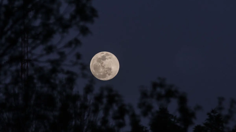 Los amantes de los fenómenos astronómicos podrán apreciar un espectáculo en el cielo que podrá verse en México, oficialmente con la fase de la Luna llena.