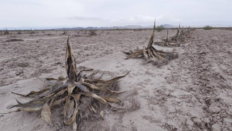 $!Como región semidesértica pega más la sequía, pero es necesario adaptarse a esta nueva “normalidad de aridez”.