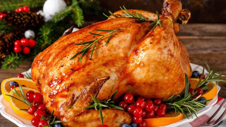 ¿Comprarás pavo esta Navidad? Profeco analizó marcas de pavos congelados en México y reveló cuáles destacan por calidad, sabor y seguridad alimentaria.