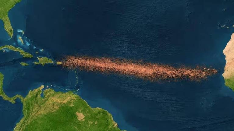 El Gran Cinturón de Sargazo del Atlántico se ha convertido en un fenómeno ambiental de gran escala que preocupa a la comunidad científica.