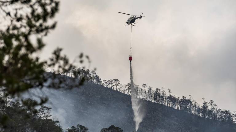 $!Diferentes grupos de brigadistas, voluntarios y elementos de corporaciones policiacas se encuentran trabajando en el ejido Sierra Hermosa, intentando controlar el incendio forestal que mantiene en alerta a las autoridades y pobladores por la cercanía de las llamas a el poblado.