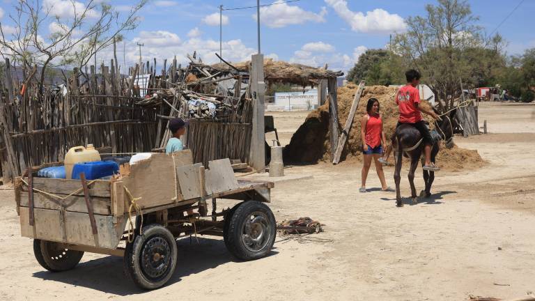 $!Noria de la Sabina es un municipio de General Cepeda en donde quedan cerca de 30 familias.