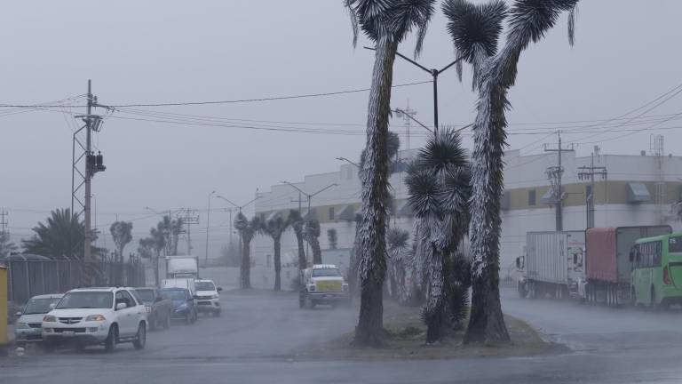 El SMN recomienda precaución ante tolvaneras, frío extremo y reducción de visibilidad, mientras continúa monitoreando las condiciones climáticas para emitir actualizaciones.