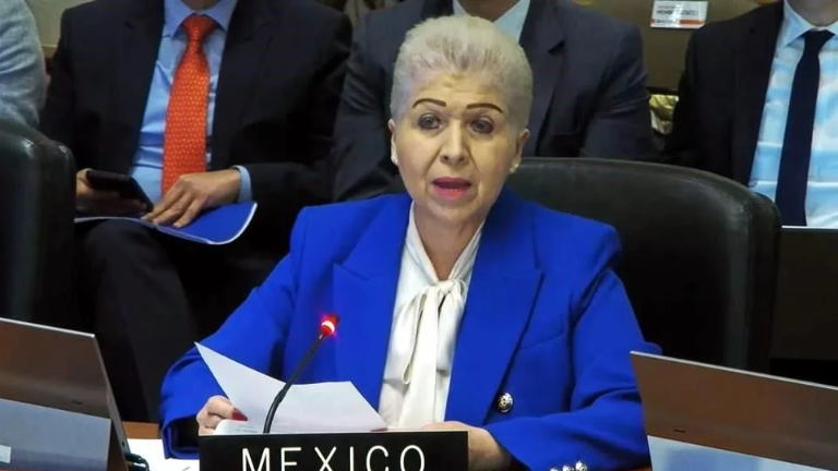 Perú propone que los Estados tomen en cuenta información del Estado de origen de la persona al momento de conceder o no la protección solicitada.