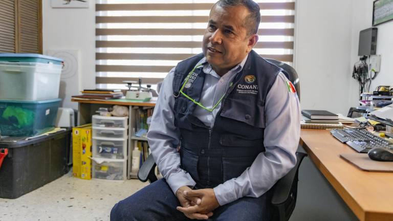 $!El Pinabete, ¿otro pasivo ambiental?