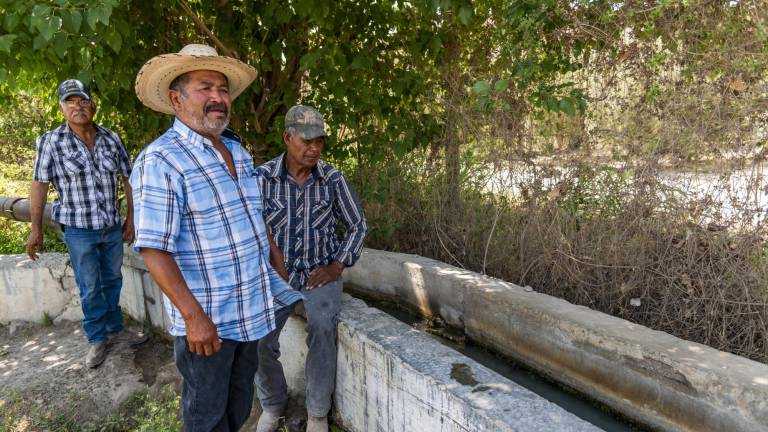 $!Ejidatarios muestran la acequia que lleva agua a sus cultivos. A través de estos conductos, se distribuye el líquido desde la sierra de Parras.