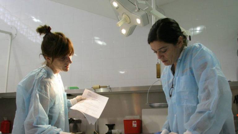 $!El equipo de medicos forenses argentinos emplea varias metodologías para identificar fragmentos óseos.