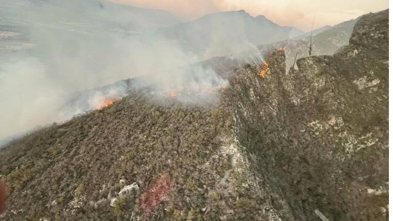 Los incendios forestales han afectado también Áreas Naturales Protegidas.