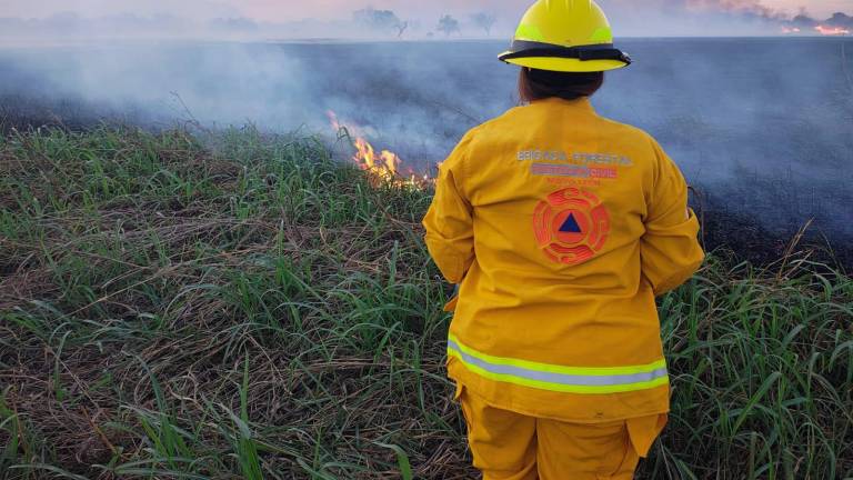 La veda prohíbe el uso de fuego en ecosistemas forestales y lotes urbanos; las sanciones alcanzan hasta 10 años de prisión y multas económicas