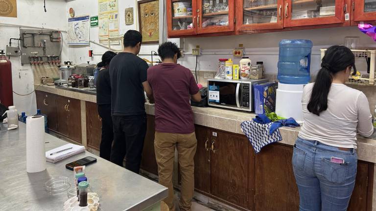 $!Estudiantes de la facultad acuden al laboratorio para continuar las investigaciones, aunque las clases hayan terminado o todavía no inicie el semestre.