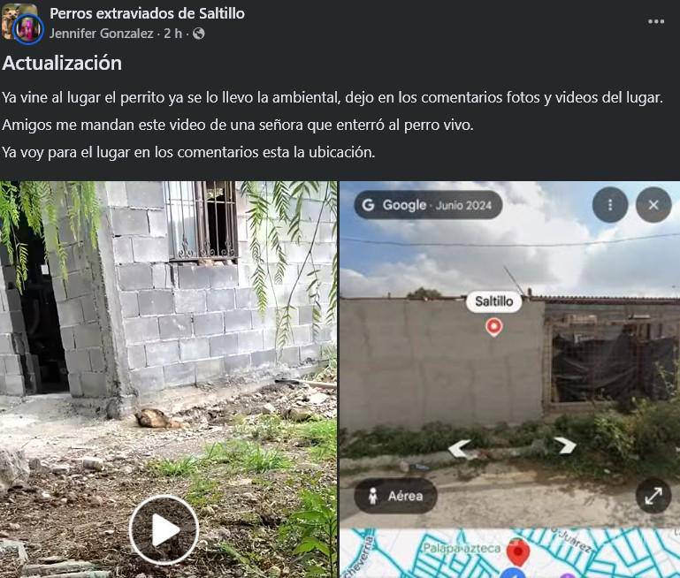 $!Rescatan a perro enterrado vivo; investigan nuevo caso de presunta crueldad animal en Saltillo