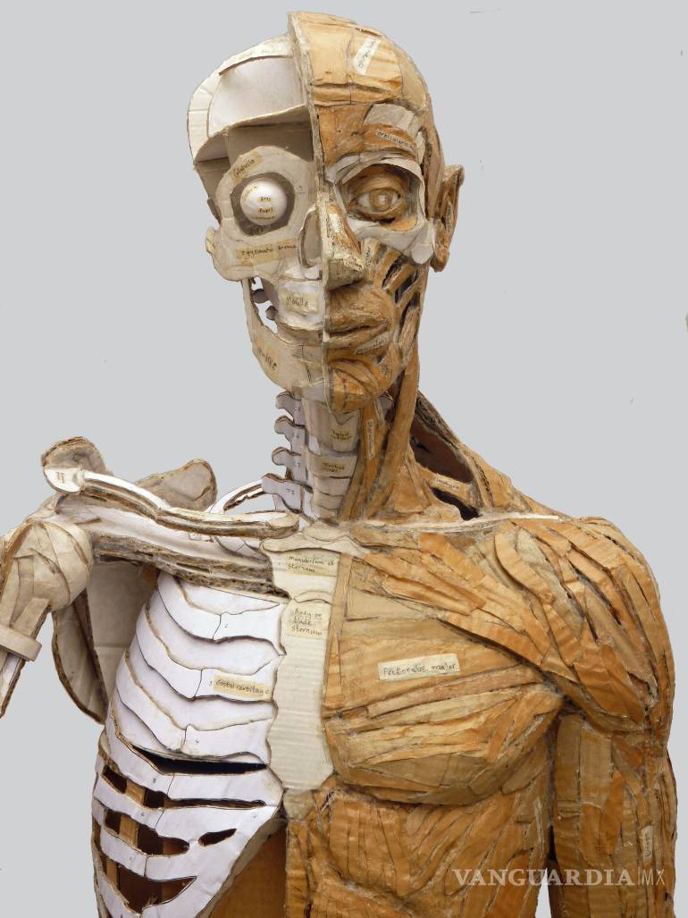 $!James Lake, el artista del cartón