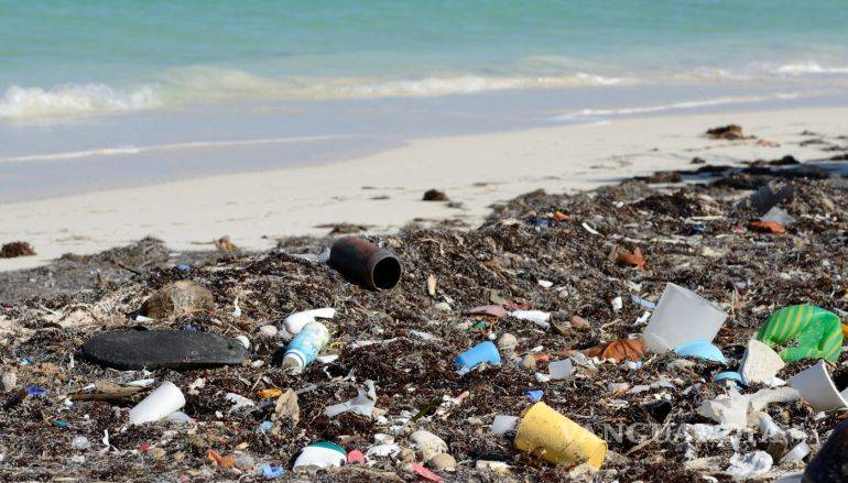 $!¿Cuánto microplástico tiene acumulado el Atlántico hoy?