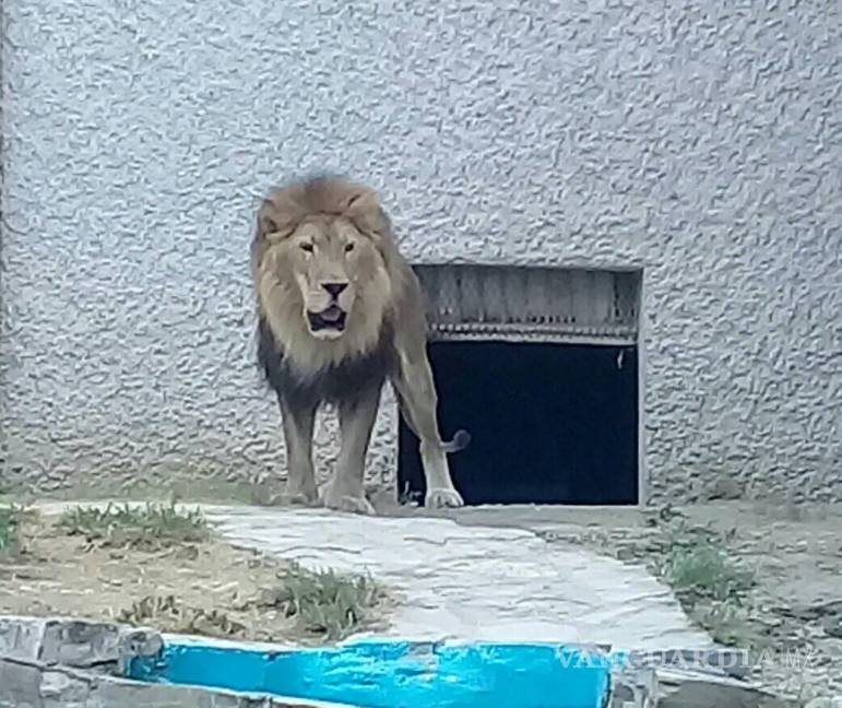 $!Cerrarán zoológico Santiago de la Monclova