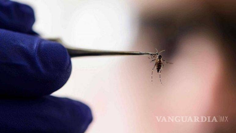 $!Dengue, migración, una posible guerra... las crisis internacionales que el coronavirus eclipsó