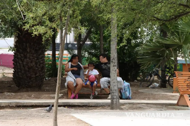 Cuidar espacios públicos aumenta ventas en negocios hasta 30 por ciento y cuida la salud mental