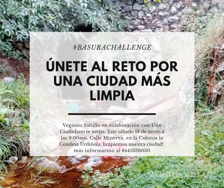 $!Con el #BasuraChallenge en Saltillo convocan a limpiar una parte del arroyo Agua Azul