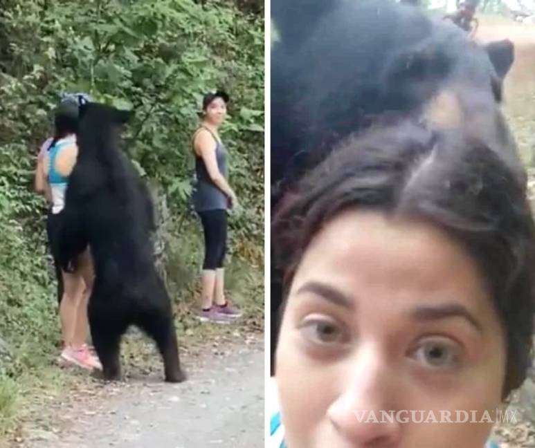Filtran selfie de excursionista con oso en Parque Chipinque, Nuevo León