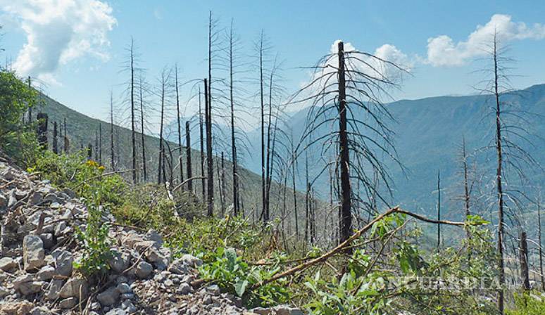 $!Lo que el incendio se llevó: un paisaje que nunca más verán nuestros ojos