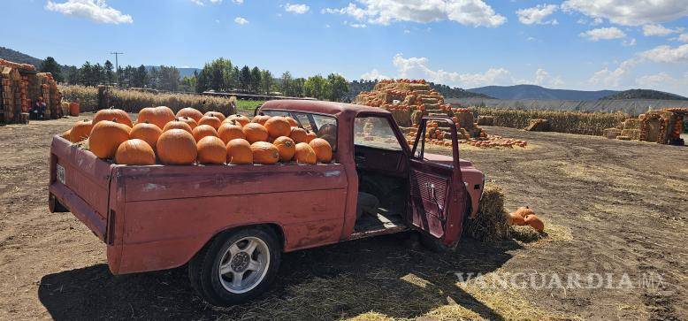 $!La incorporación del tallado de calabazas se ha convertido en una actividad familiar muy bien recibida por los visitantes.