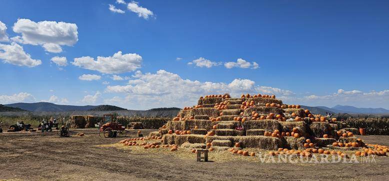 $!Las atracciones de La Huerta de Girasoles son accesibles para familias de Saltillo y Nuevo León, con entradas a 100 pesos para girasoles y calabazas.