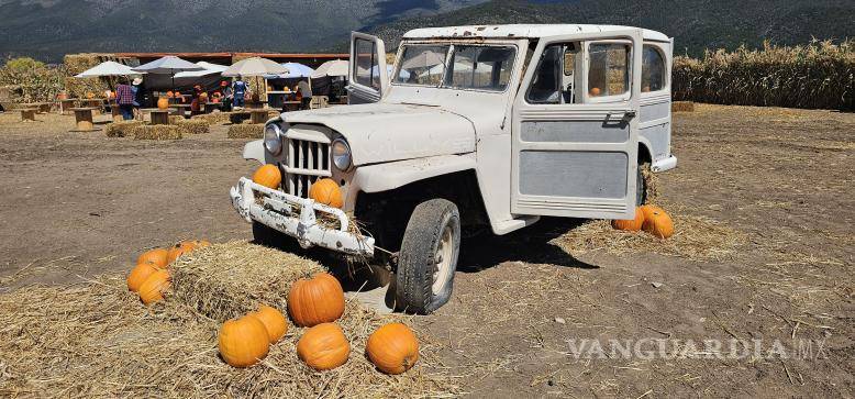 $!El proyecto busca beneficiar a la comunidad local, generando derrama económica a través del turismo y el consumo de productos tradicionales.