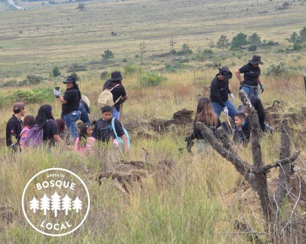 Voluntarios participarán este domingo en una jornada de reforestación en la Sierra de Arteaga.