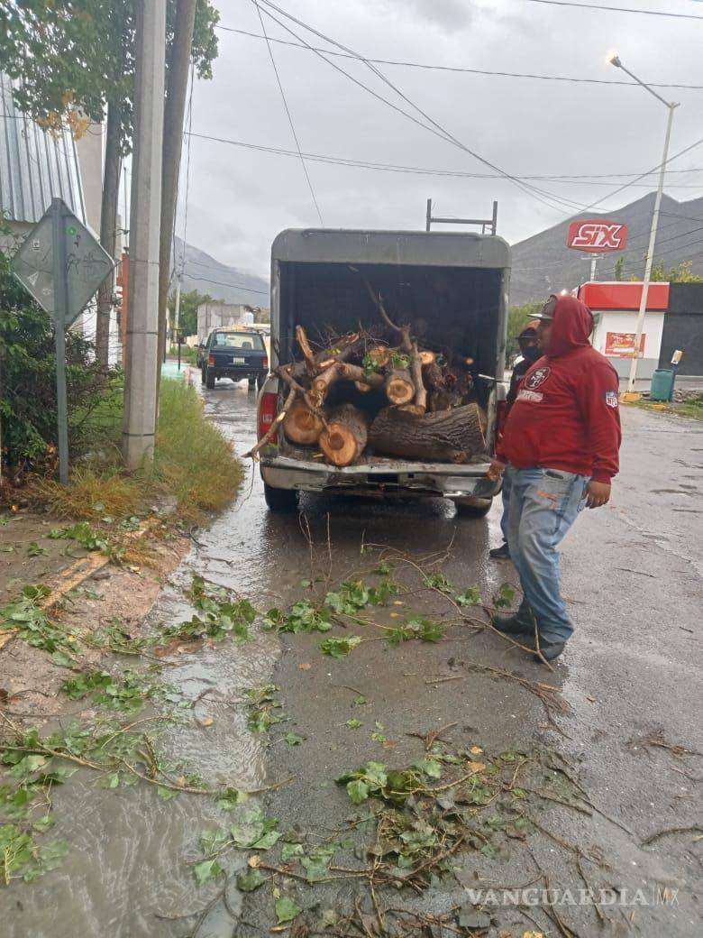 $!Comunidad local colaborando en la limpieza de escombros y ramas de árboles caídos para mantener las calles seguras.