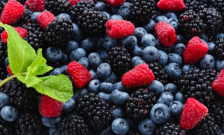 Disminuyen exportaciones mexicanas de berries, jitomate y chiles de enero a octubre