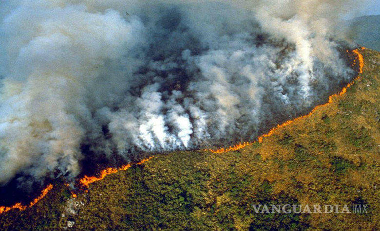 $!Tu jugo del día: El fuego del Amazonas 'ahoga' a Bolsonaro