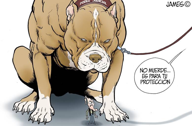 Tengo miedo del nuevo Poder Judicial