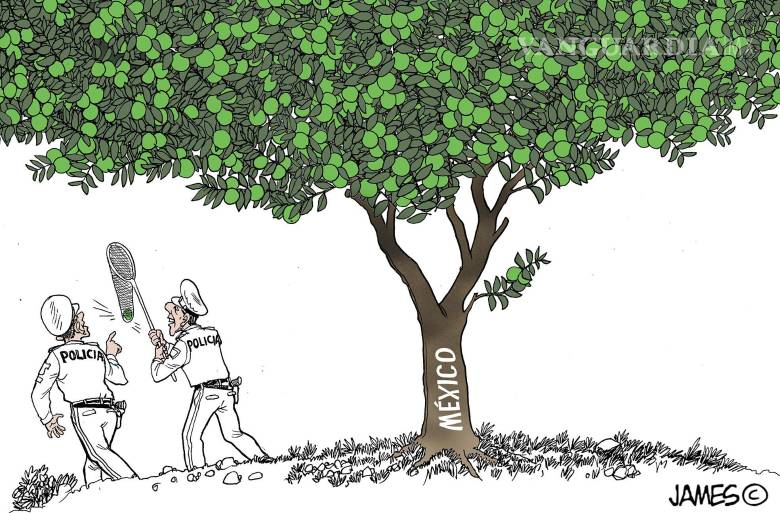 Cayó ‘El Limones’