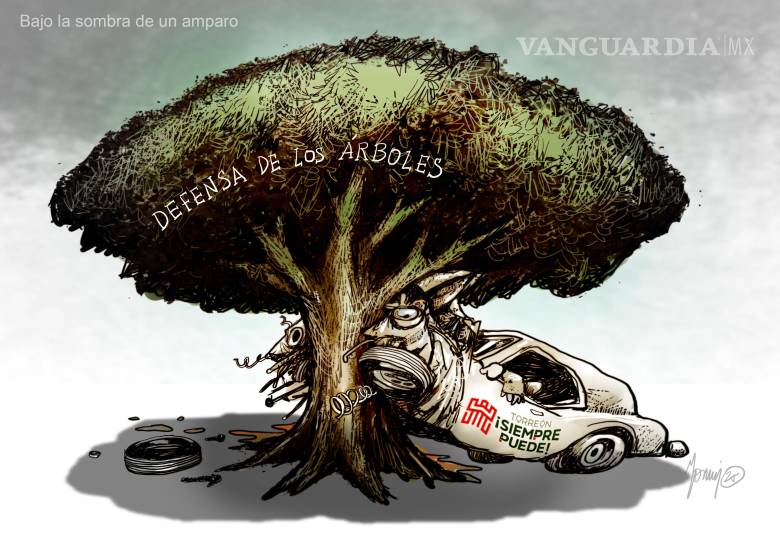 Bajo la sombra de un amparo